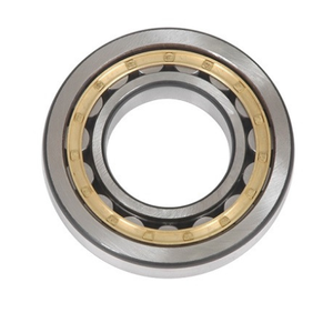 Bolivia customers directly purchase our single row cylindrical roller bearing