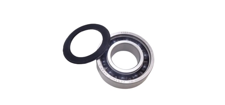 hybrid ceramic bearing