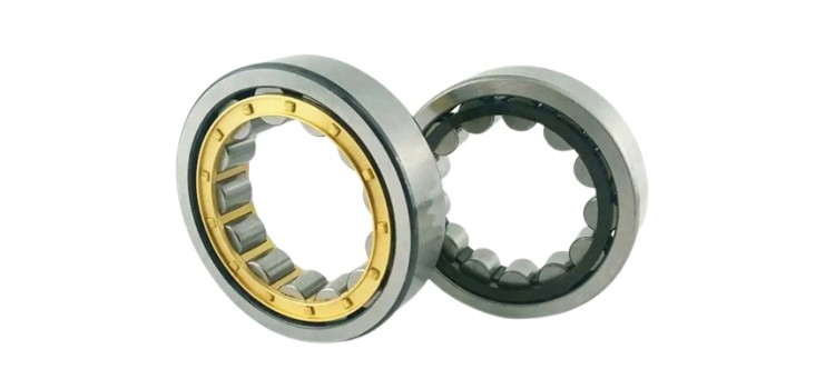 rnu bearing