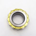 RN309M Single row Eccentric Cylindrical Roller Bearing