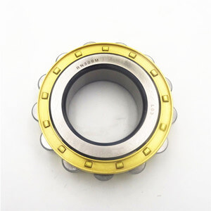 RN309M Single row Eccentric Cylindrical Roller Bearing