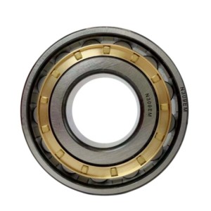 N 309 bearing with brass cage N309 cylindrical roller bearing size 45x100x25mm