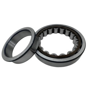 NJ220 NJ seriesl cylindrical roller bearing with nylon cage NJ220ECP