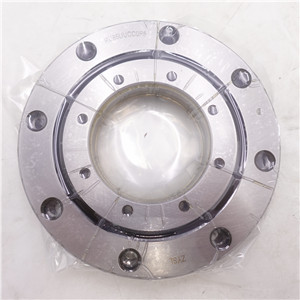 Slewing ring bearing with external gear