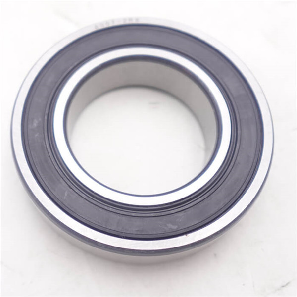 6007 2rsr bearing